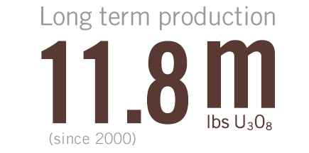 Longe term production