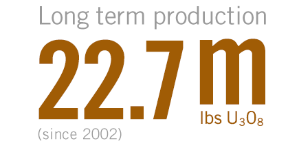 Long term production inforgraphic