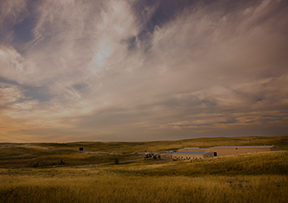 A scenic image of a field near Smith Ranch-Highland