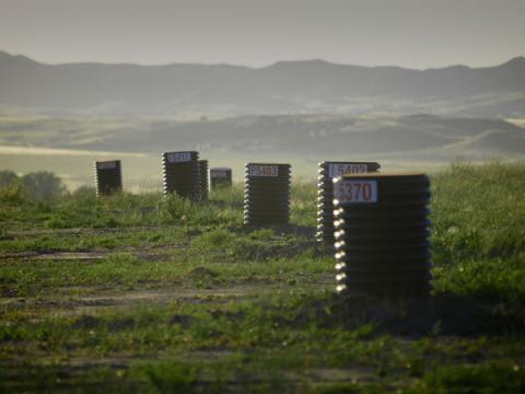 field with marked barrels